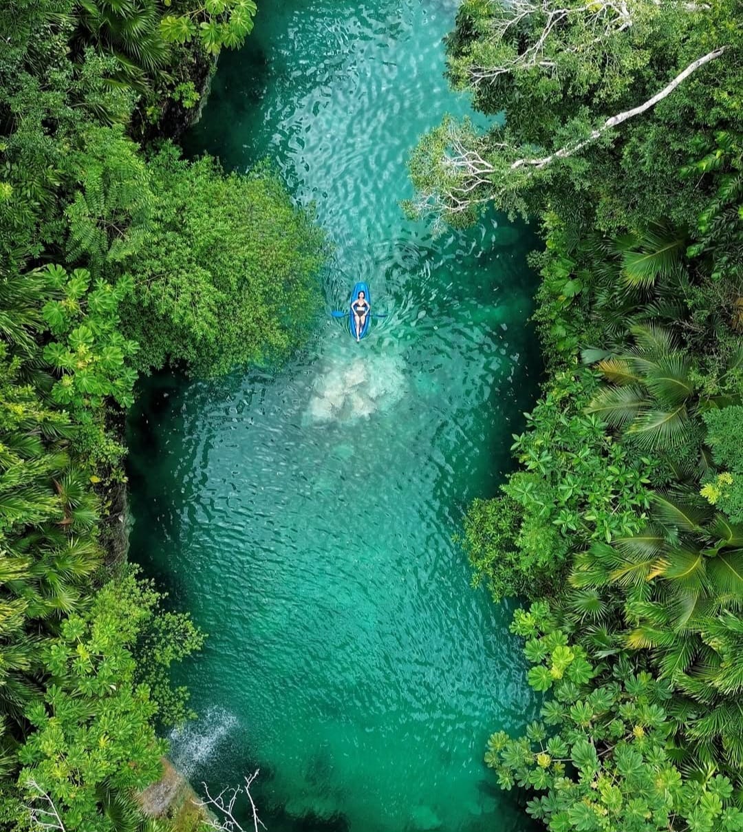 TULUM & CENOTE PRIVATE ADVENTURE TOUR - Image 12