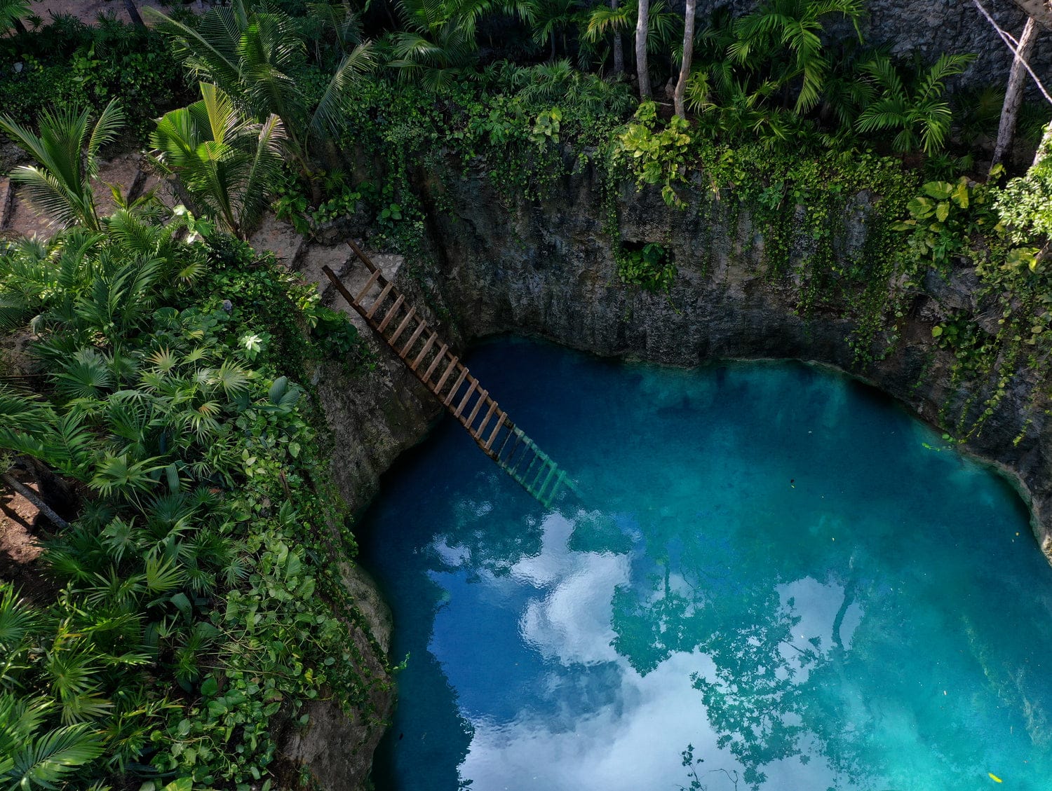 TULUM & CENOTE PRIVATE ADVENTURE TOUR - Image 7