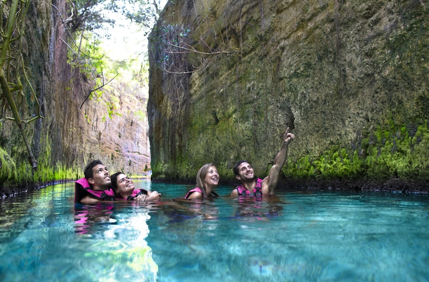 xcaret plus with a 45 minute dolphin... - Image 2