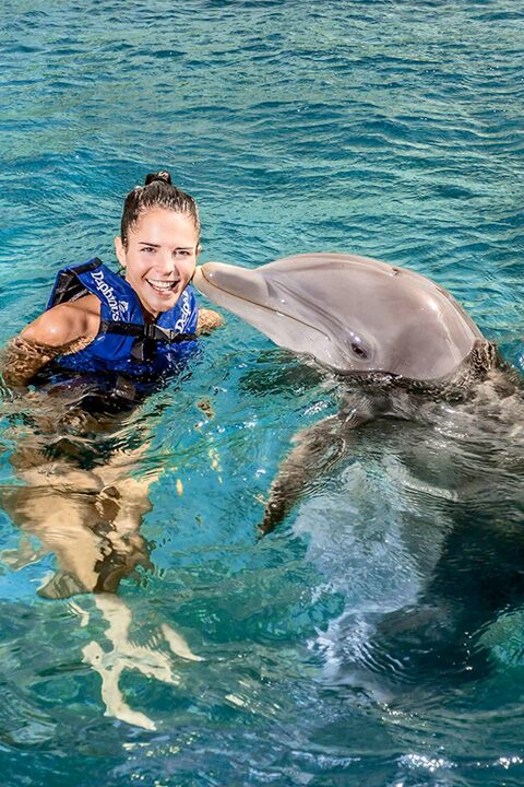 xcaret plus with a 45 minute dolphin... - Image 3