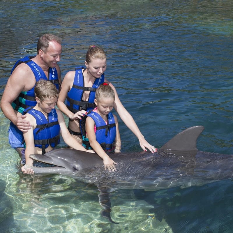 xcaret plus with a 45 minute dolphin... - Image 5