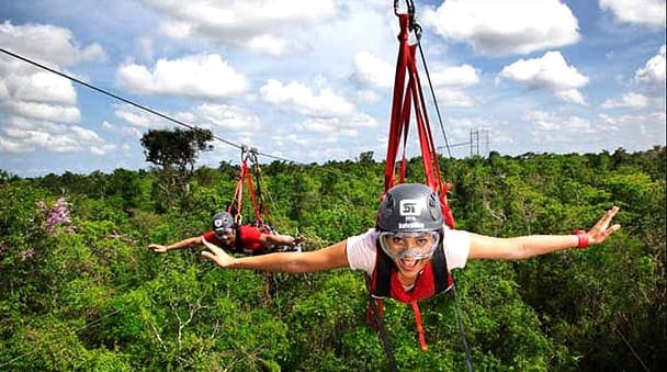 Welcome to the jungle experience - Image 4