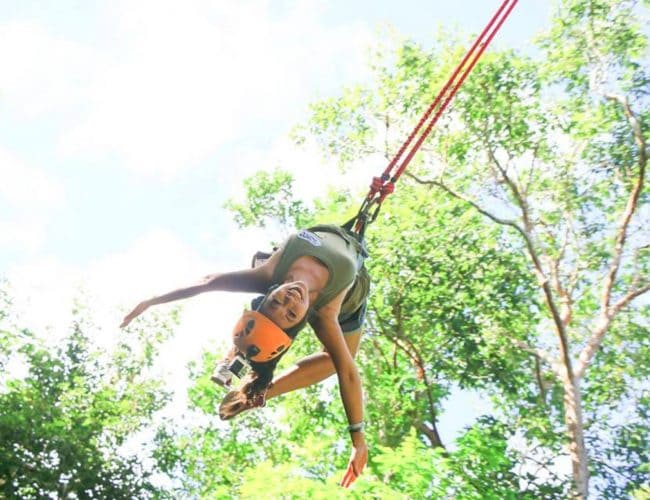 Welcome to the jungle experience - Image 10