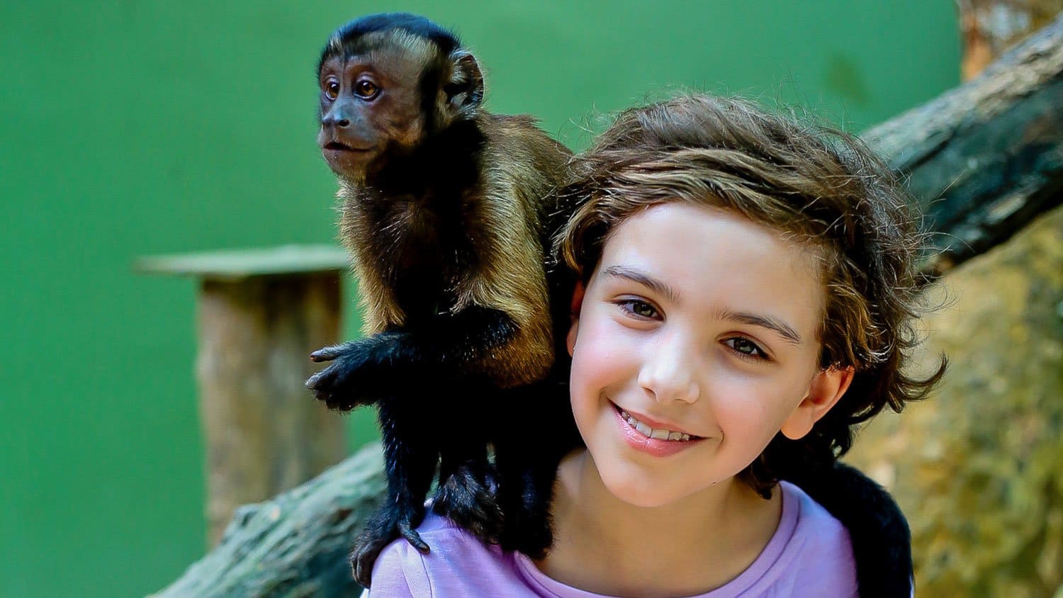 Live the Sanctuary experience - Image 7