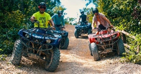 Live the Sanctuary experience - Image 13