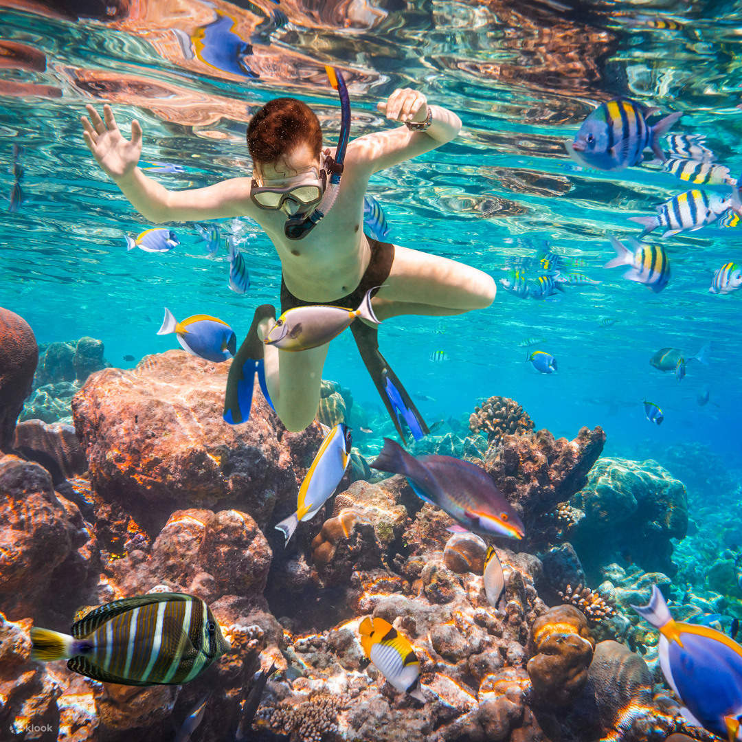 THE BEST SNORKELING SPOT BETWEEN CANCUN AND PLAYA DEL CARMEN (PUERTO MORELOS) - Image 3