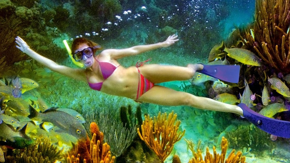 THE BEST SNORKELING SPOT BETWEEN CANCUN AND PLAYA DEL CARMEN (PUERTO MORELOS) - Image 7