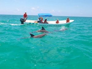 MARINE SAFARI ADVENTURE