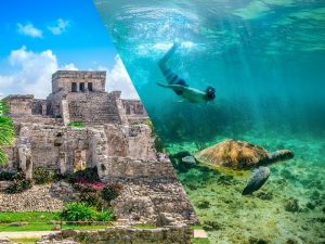 tulum turtle snorkeling